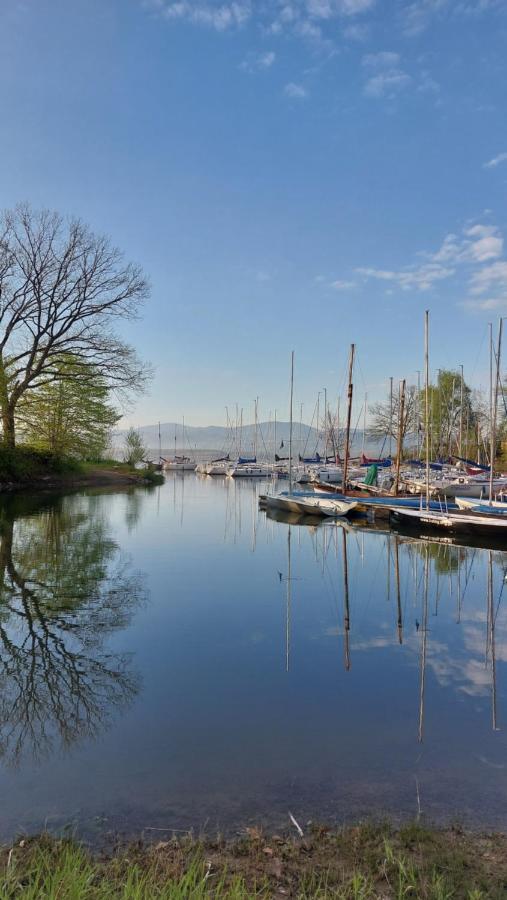 Laguna24 Jezioro Zywieckie Klimatyzowany Apartament 40 M2 Zarzecze  Dış mekan fotoğraf